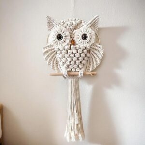 Bohemian Owl Macrame Wall Hanging