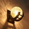 Unique Globe Shape Wall Light for Living Room Decor