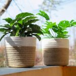Cotton Rope Plant Basket – Handmade Jute Planter for Indoor Plants