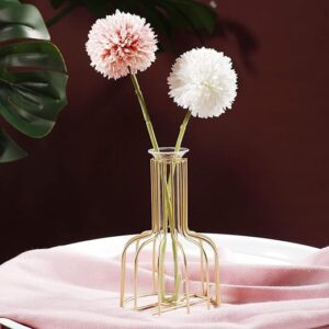 Gold Metal Frame Propagation Station with Test Tube Vase